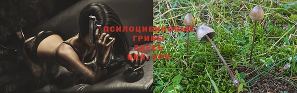 mix Тайга
