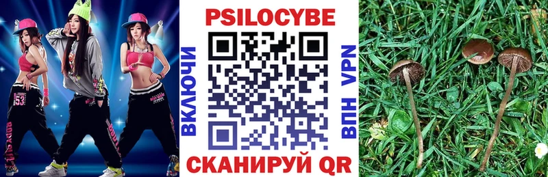 Галлюциногенные грибы мухоморы  Ишим 